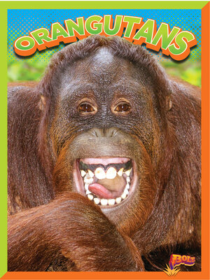 cover image of Orangutans